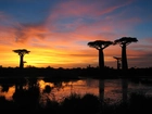 Baobab, Jezioro, Zachód Słońca