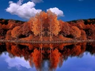 Jesień, Czerwone, Drzewa, Woda, Odbicie