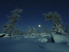 Księżyc, Drzewa, Śnieg