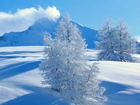 Góry, Drzewa, Śnieg, Niebo