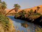 Rzeka, Palmy, Pustynia, Libia