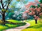 Droga, Kwitnące, Drzewa, Wiosna