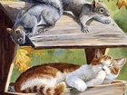 Karmnik, Kot, Wiewiórki, Malarstwo
