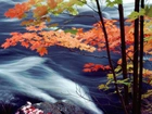Jesień, Rzeka, Gałęzie, Kolorowe, Liście