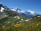 Łąka, Góry, Alpy