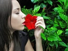 Dziewczyna, Profil, Czerwony, Kwiat, Hibiskusa