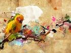 Żółta, Papuga, Grafika