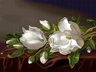 Białe, Kwiaty, Magnolia
