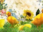 Wielkanoc, Kolorowe, Kwiatki, Pisanki, Kurczaczki