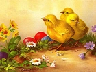 Wielkanoc, Kurczaczki, Jajka, Kwiaty