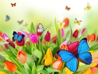 Kolorowe, Tulipany, Motyle