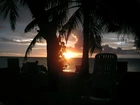 Morze, Palmy, Zachód Słońca, Malediwy