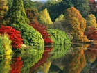 Jesień, Rzeka, Kolorowe, Drzewa, Krzewy, Odbicie