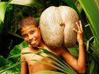 Chłopiec, Orzech, Kokosowy, Srilanka