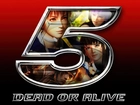 Dead Or Alive 5, Logo
