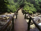 Most, Drewniany, Rzeka, Kamienie, Rododendron