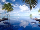 Morze, Parasole, Palmy, Malediwy