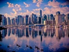 Kanada, Vancouver, Żaglówki, Przystań, Rzeka Fraser, Kaczki