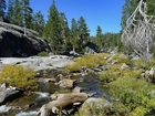 Kamienista, Rzeka, Las, Yosemite, Kalifornia