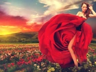 Kobieta, Róże, Zachód Słońca