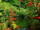 Ogród, Japoński, Roślinność, Sadzawka