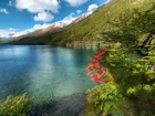 Jezioro, Góry, Drzewa, Argentyna