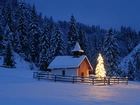 Zima, Dom, Las, Choinka, Boże Narodzenie