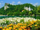 Kośclół, Zamek, Jezioro, Kwiaty, Bled, Słowenia