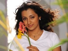 Trisha Krishnan, Brunetka, Kwiatki