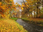 Rzeka, Park, Liście, Jesień