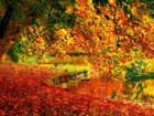 Rzeka, Drzewa, Liście, Jesień