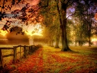 Jesień, Liście, Drzewa, Płot, Mgła