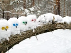 Powalone, Drzewo, Figury, Śniegowe, Sowy, Kot