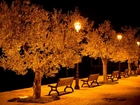 Park, Drzewa, Ławki, Lampy, Noc