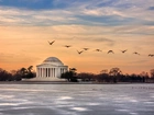 Waszyngton, Pomnik, Thomas Jefferson, Ptaki