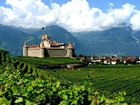 Zamek, Góry, Winnica, Szwajcaria