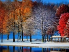 Drzewa, Park, Śnieg, Jezioro