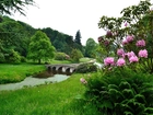 Mostek, Park, Kwiaty, Stourhead, Anglia