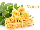 Bukiet, Żółtych, Róż, 8 Marca, Dzień, Kobiet