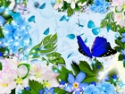 Kwiaty, Niebieski, Motyl, Grafika