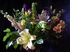 Bukiet, Kwiatów, Lilia, Alstremeria
