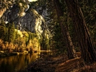 Góry, Las, Rzeka, HDR, Park Narodowy Yosemite, Kalifornia, USA