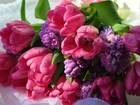 Bukiet, Różowych, Tulipanów