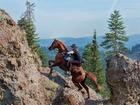 Koń, Jeździec, Góry, Choinki
