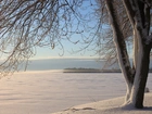 Drzewo, Jezioro, Zima