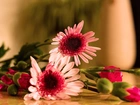 Bukiet, Kwiatów, Dzban