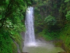 Wodospad, Drzewa, Dżungla