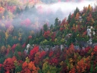 Wszystkie, Kolory, Jesieni, Drzewa, Góry