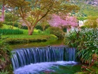 Park, Ogród, Mini Wodospad, Rzeczka, Drzewa, Kwiaty