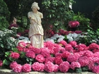 Ogród, Park, Hortensje, Posąg